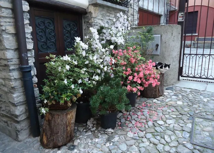 La Ca In Piaza 度假居 *